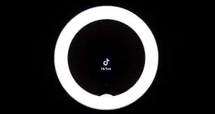 TikTok Downloader
