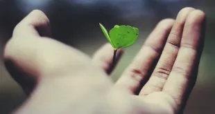 Tips to Improve the Potential of Growth for Your Business