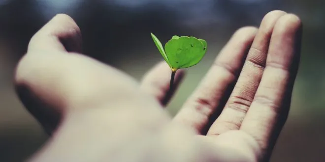 Tips to Improve the Potential of Growth for Your Business