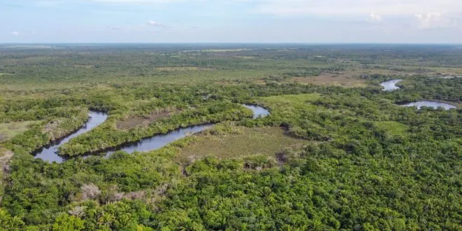 land for sale in East Texas