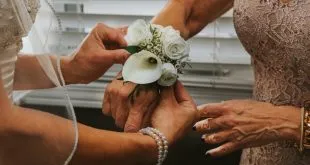 wedding clothes for the mother of the groom