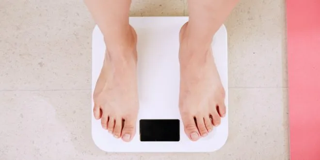 How Does Protein Help You Lose Weight