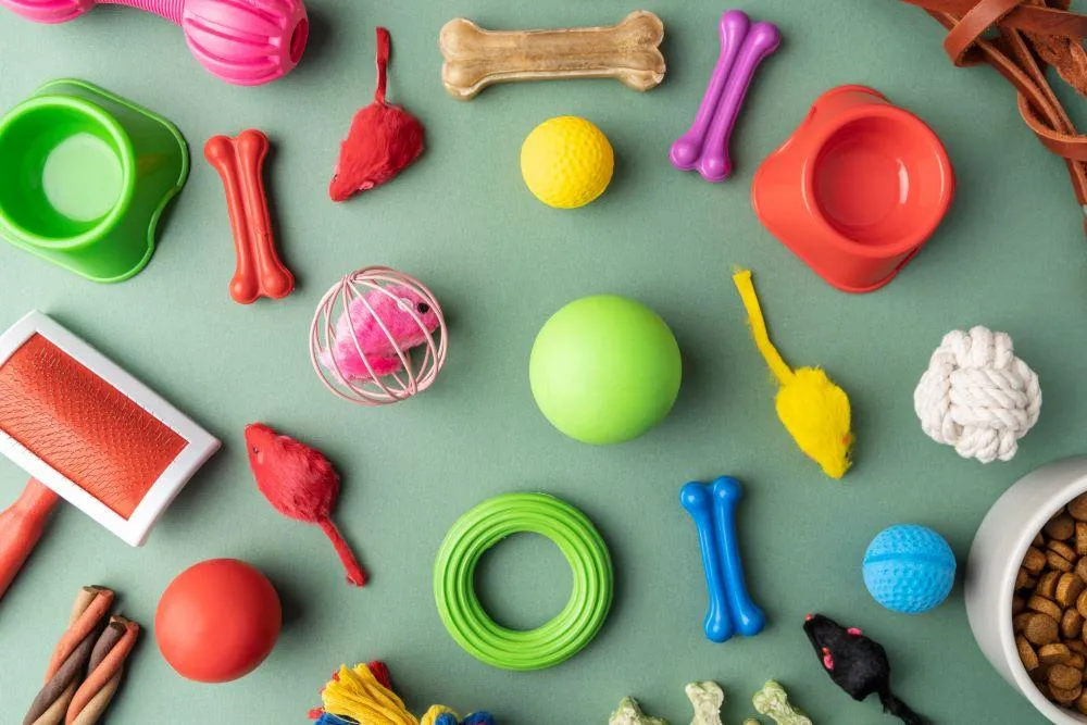 cat toys