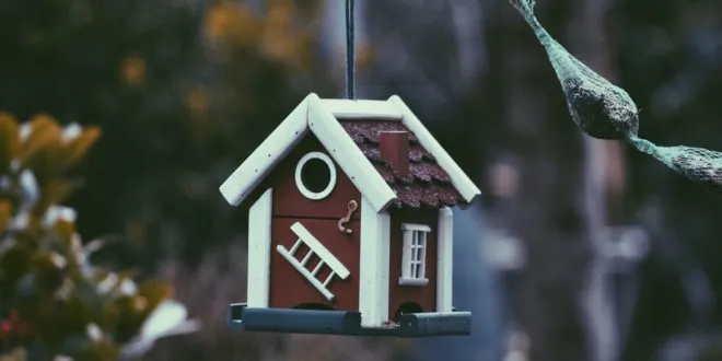 property management