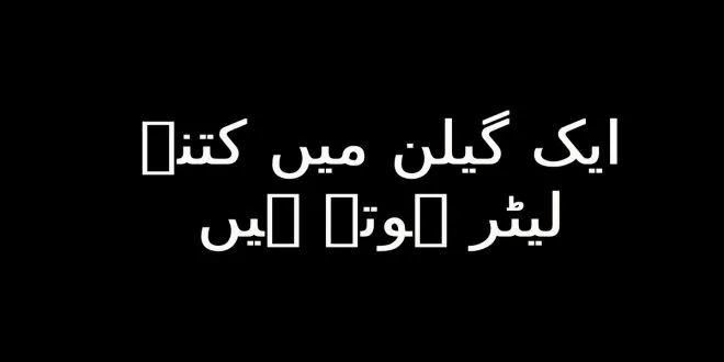 ایک گیلن میں کتنے لیٹر ہوتے ہیں