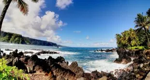 Best Timeshares to Buy