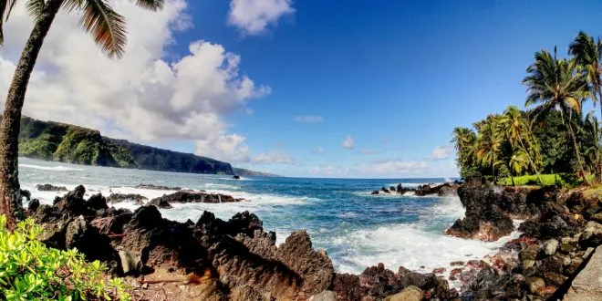 Best Timeshares to Buy
