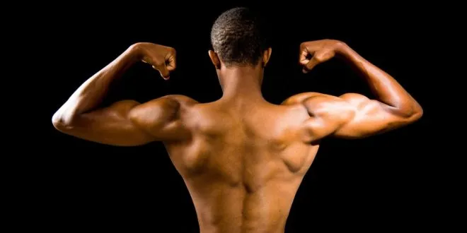 wellhealthorganic.com/how-to-build-muscle-know-tips-to-increase-muscles