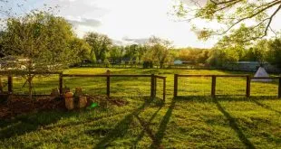 Septic System Installation