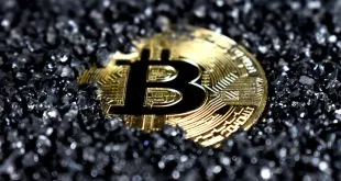 Cryptocurrency Adoption in India