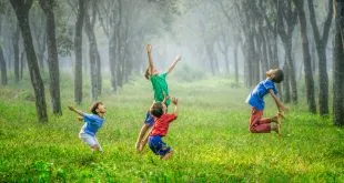 Starting Your Wellness Journey