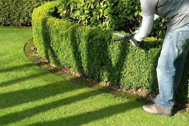 Landscaping