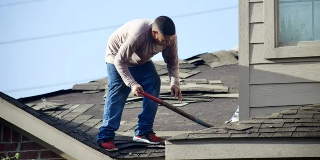 Repair Carpenter Ant Damage