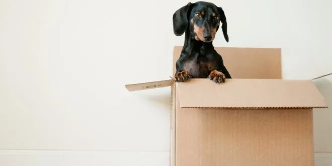 Smooth House Shifting