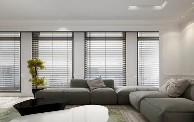 Window Treatment