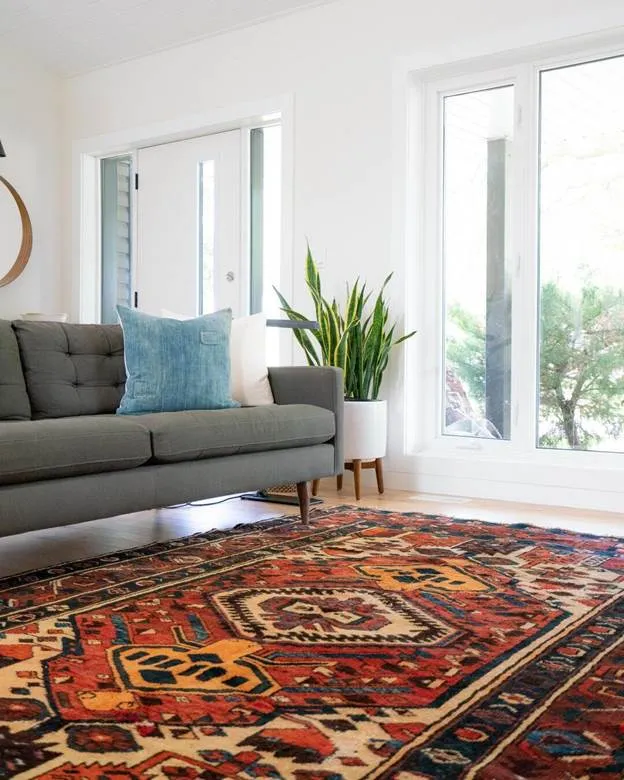 Rug Cleaner