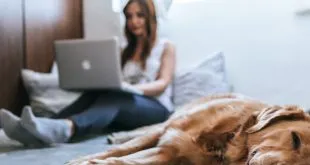 Fast House Buyers