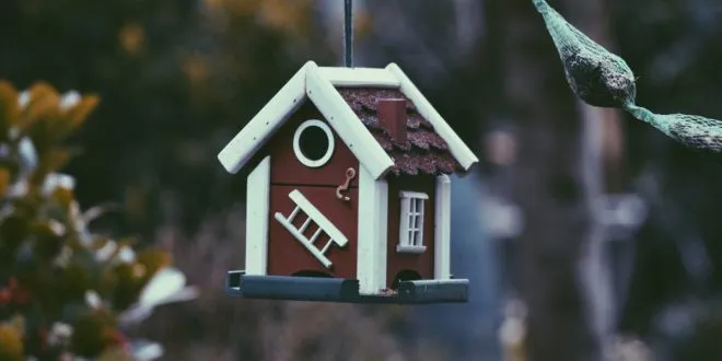 Maximize Your ROI with the Top Real Estate Marketing Tools