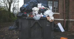 Ways a 12 Yard Dumpster Can Save You Time and Money