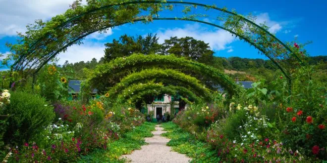 beautify your garden
