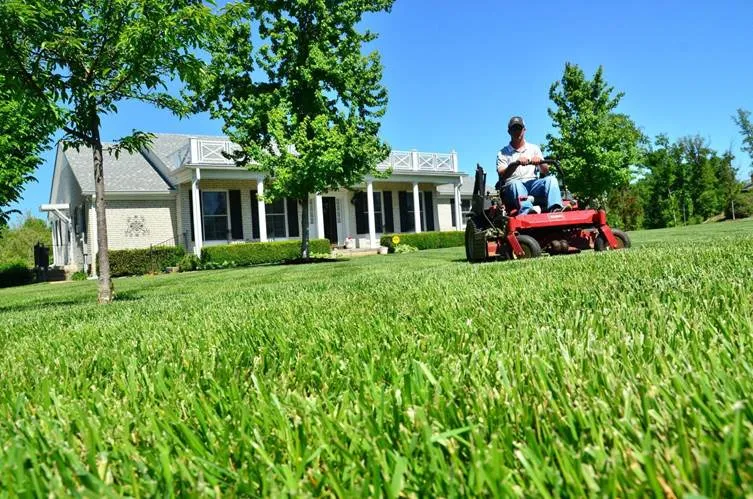 Lawn Cleanup Tasks