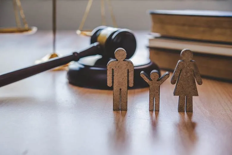 Paternity Lawyer