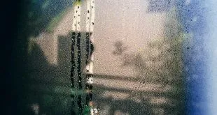 window films