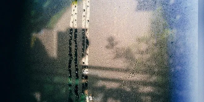 window films