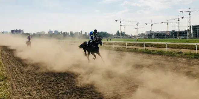 Horse Racing Betting