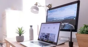 Web Design Services