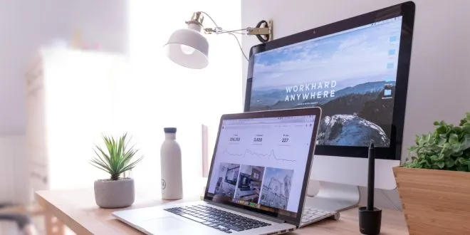Web Design Services