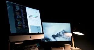 Web Design Services