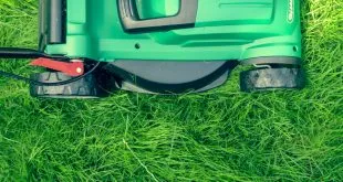 Effective Lawn Restoration