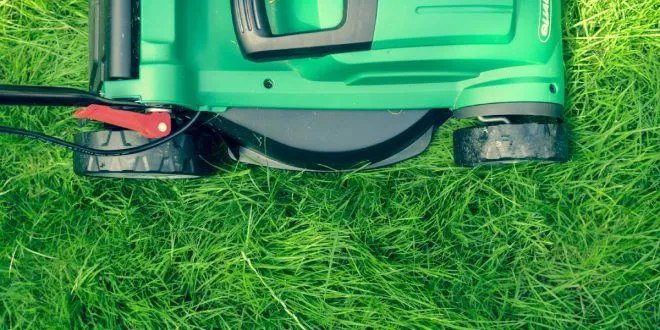 Effective Lawn Restoration