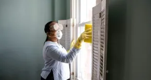 Pest Control Services