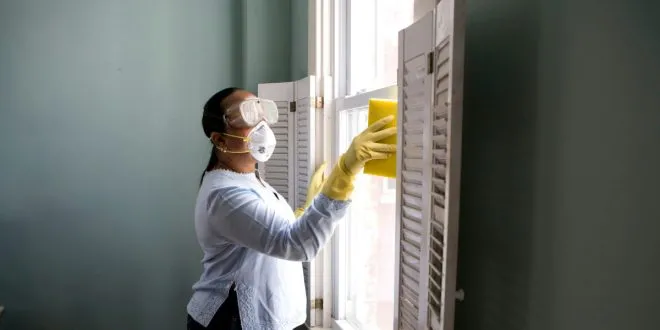 Pest Control Services