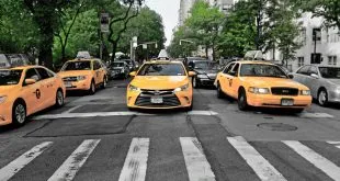 Transportation Services in Florida