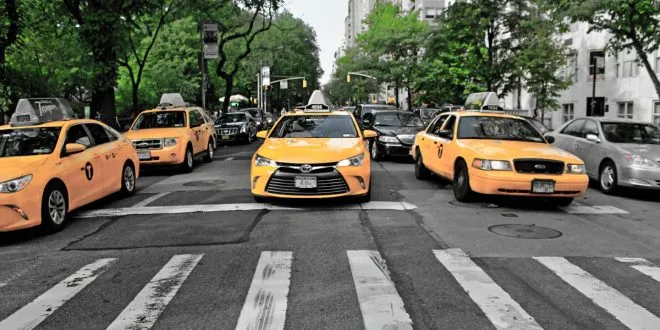 Transportation Services in Florida
