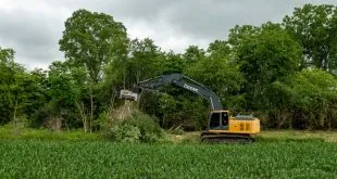 Tree Removal Services