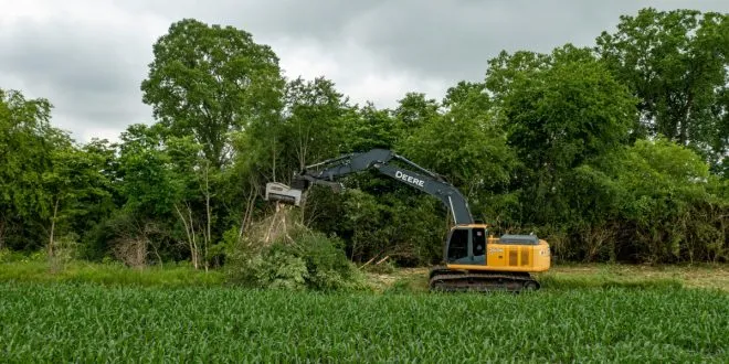 Tree Removal Services