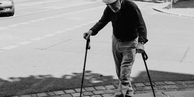 Modern Folding Canes