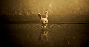 animated:ztvrlsh4ofy= turkey