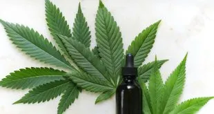 health benefits of cannabis