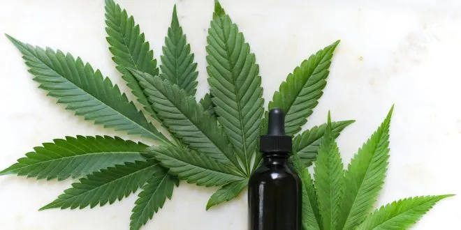 health benefits of cannabis