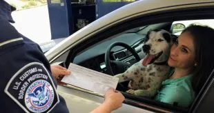 traffic ticket defense