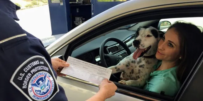 traffic ticket defense