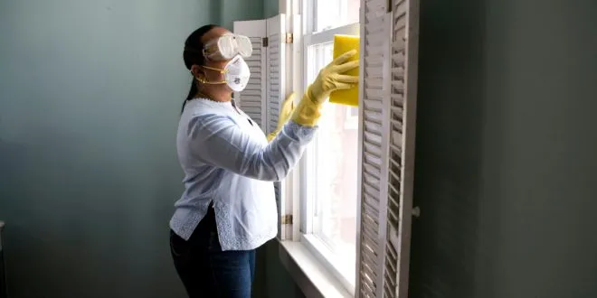 Pest Control Service for Your Home