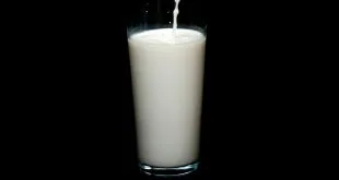 WellHealthOrganic Buffalo Milk