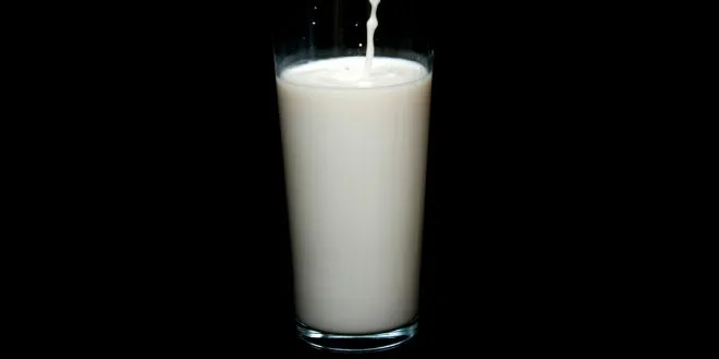 WellHealthOrganic Buffalo Milk