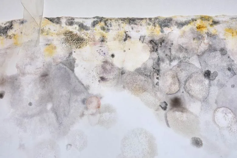 Mold